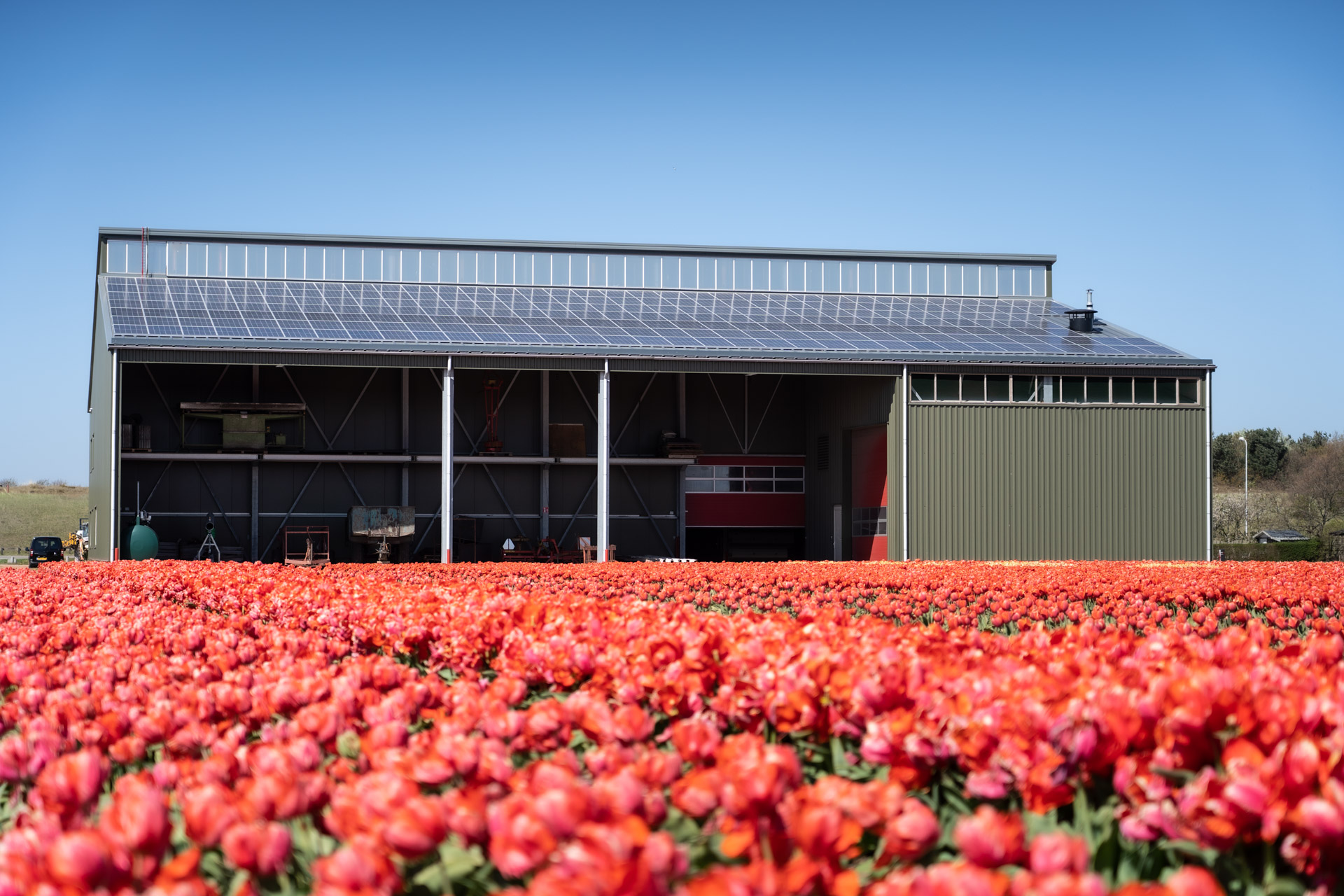 Nieuwbouw bedrijfsruimte bollenteelt